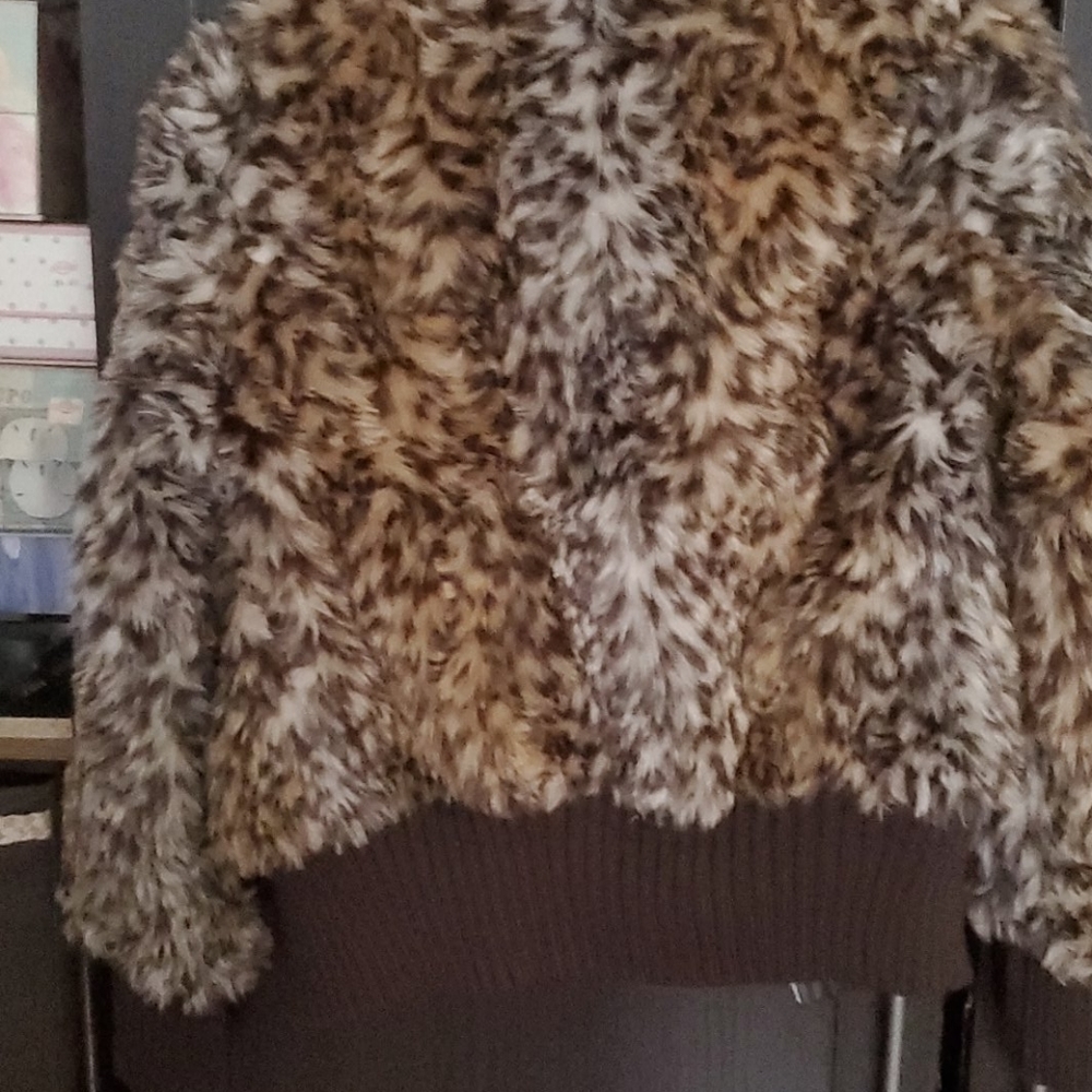 Jacket - Picture 5 of 6